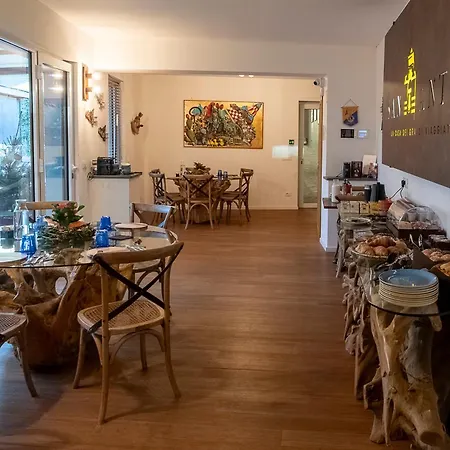 San Anton Hotel